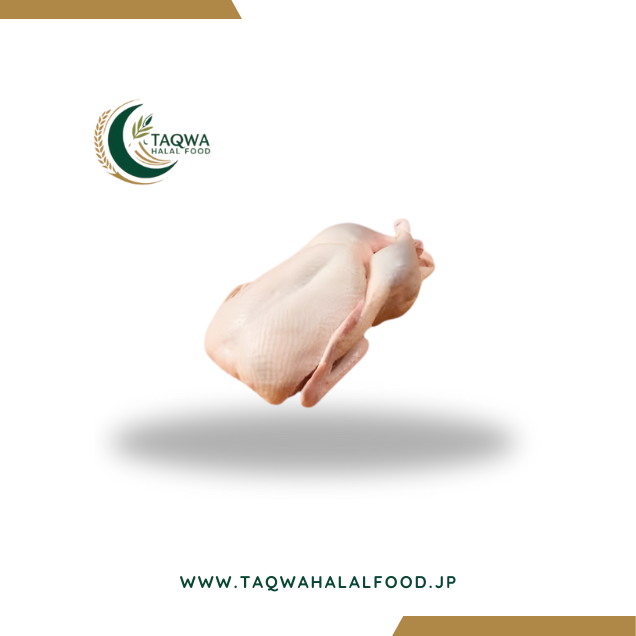 Featured Image